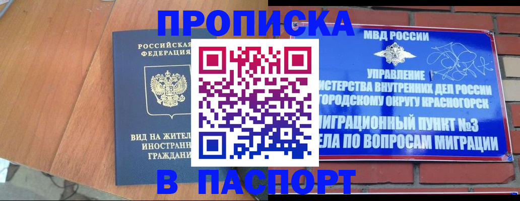найти адрес прописки в Елизово